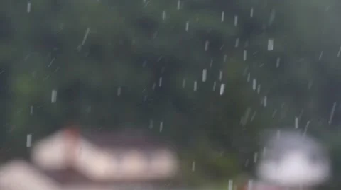 Summer rain Stock Footage 8607904