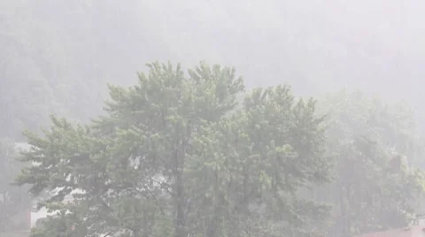 Summer rain Stock Footage 8607918