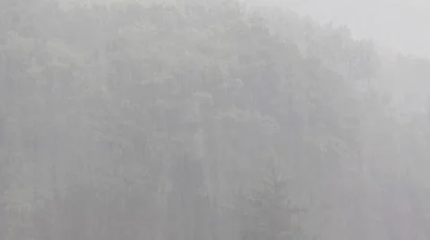 Summer rain Stock Footage 8764815