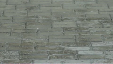 Summer rain Stock Footage 11237740