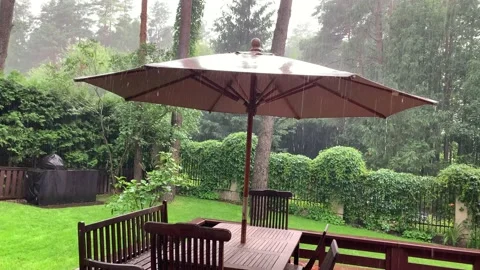 Summer rain Stock Footage 203532592