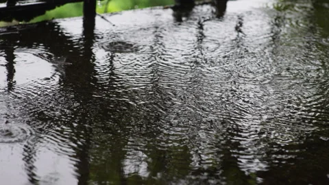 Summer rain Video stock 295871293