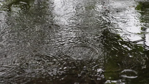 Summer rain Video stock 296403251