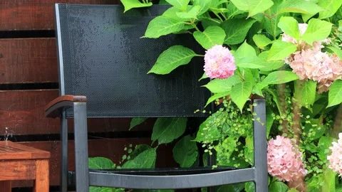 Summer rain in the garden Stock Footage 221501734