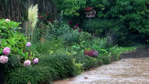 Summer rain in the garden Stock Footage 246195671
