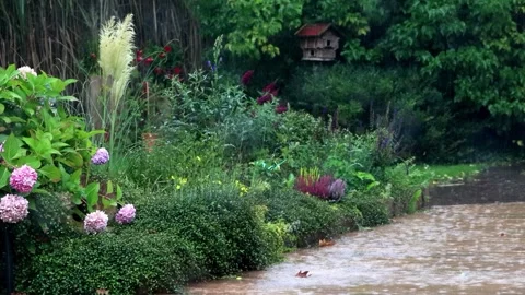 Summer rain in the garden Stock Footage 247456116