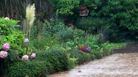 Summer rain in the garden Stock Footage 247471895