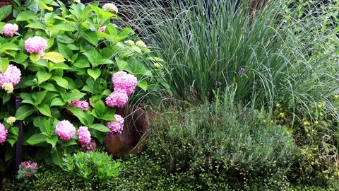 Summer rain in the garden, sound Stock Footage 201616318