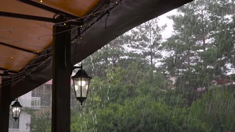 Summer rain on green trees background. Rain showers view from tent in forest Stock Footage 158379510