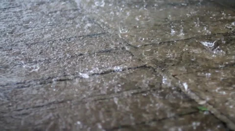 Summer Rain Massive Drops Stock Footage 51878980