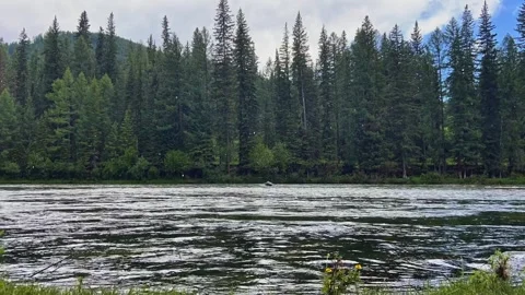 Summer rain on a mountain river. Overcast weather. Time lapse video. Video stock 247622250