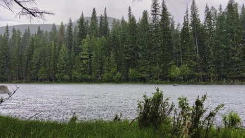 Summer rain on a mountain river. Overcast weather. Vídeos de archivo 247622750