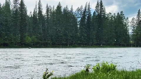 Summer rain on a mountain river. Overcast weather. Time lapse video. Stock Footage 248043030