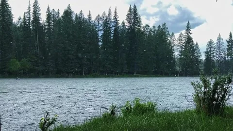 Summer rain on a mountain river. Overcast weather. Slow motion video. Vídeo Stock 248352438