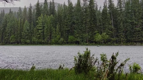 Summer rain on a mountain river. Overcast weather. Video stock 250068722
