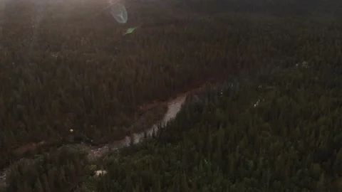 Summer rain over the forest. Drone view Stock Footage 221997874