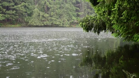 Summer rain over lake surface Stock Footage 276388279