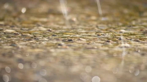 Summer Rain On The Pavement Stock Footage 77555640