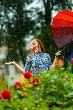 Summer rain Stock Photos