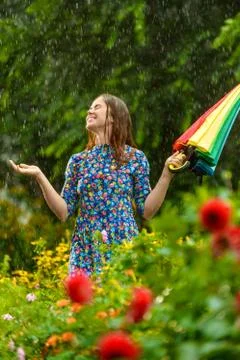 Summer rain Stock Photos