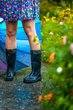 Summer rain Stock Photos