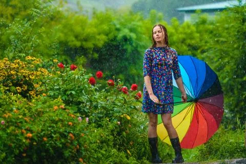 Summer rain Stock Photos