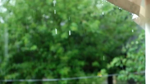 Summer rain. Raindrops fall against the background of green trees. Focus on the Stock Footage 233847090
