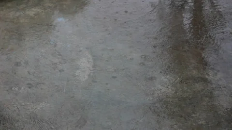 Summer rain on road Stock Footage 29668963