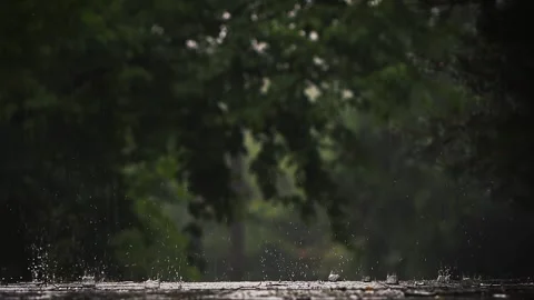 Summer rain on the roadside, splashing raindrops and droplets slow motion Stock Footage 246511297