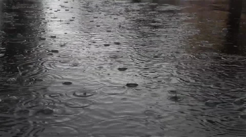 Summer rain seen in a pool filled with bubbles 01 Stock Footage 59556396