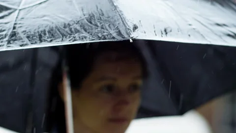 Summer rain shower Stock Footage 109602905