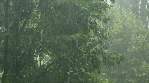 Summer rain showers, heavy rainstorm in summer season Stock Footage