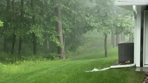 Summer Rain Storm Backyard Downspout Minnesota 動画素材 347545822