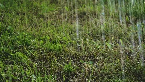 Summer rain in the sunny afternoon Stock Footage 78980587