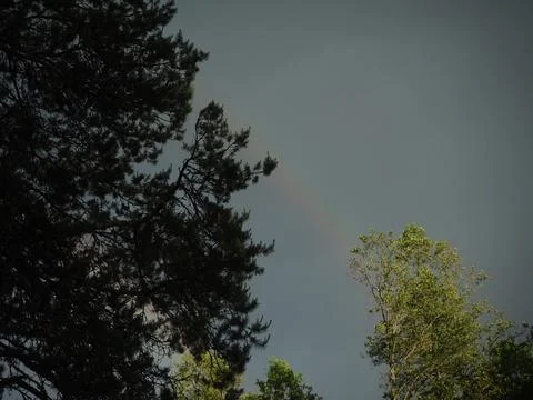 Summer rainbow trees rain clouds Stock Photos