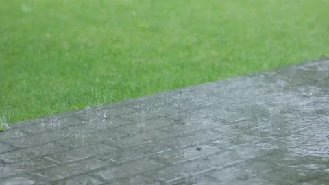 Summer raindrops fall in puddles on walk pavement city paved road green grass Stock Footage 235634057