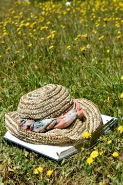 Summer Reading 写真素材