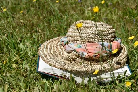 Summer Reading Stock Photos