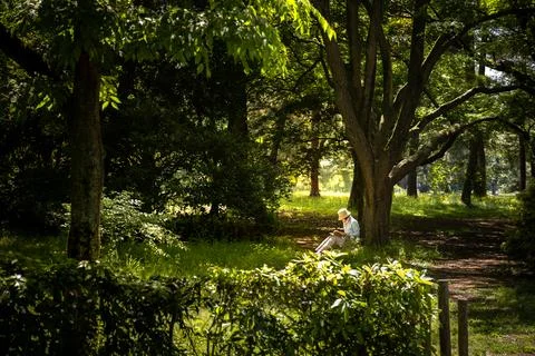 Summer reading under the trees Stock Photos