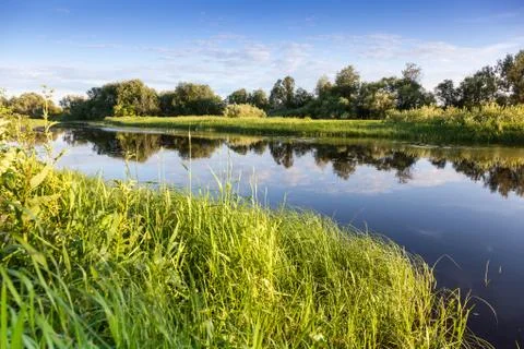 Summer reflection at the river. Russia 스톡 사진