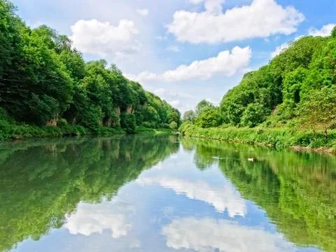 Summer reflections on a lake surrounded by trees Stockfoto's