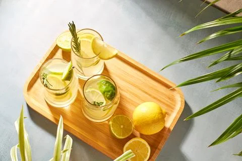 Summer refreshing drinks with lemon. Alcoholic cold cocktails with fresh lemon Stock Photos