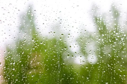 Summer refreshing rain outside the window, raindrops on the glass, green tree Stock Photos