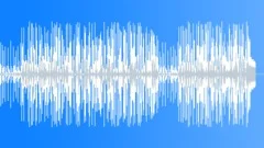 Summer Reggae BBQ Music Alt Mix Stock Music