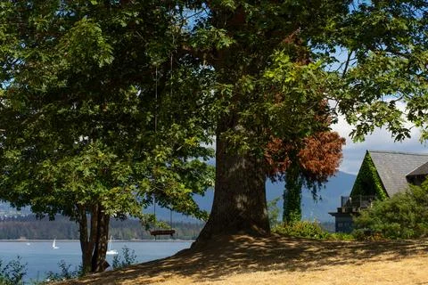 Summer Relaxation Stock Photos