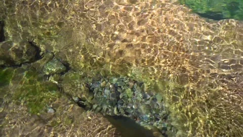 Summer relaxing background with copy space for text water waves in slow motion 스톡 동영상 264874807