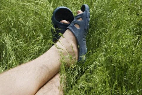 Summer resting Stock Photos