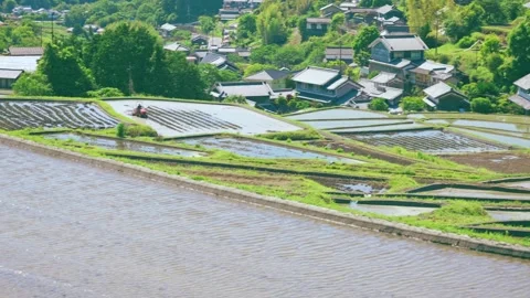 Summer, rice fields being plowed, heat haze Stock Footage 279373855