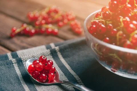 Summer ripe red currant on a spoon. Stock Photos