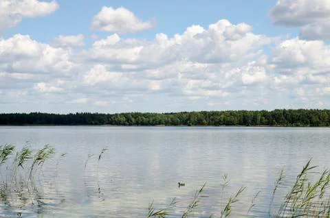 Summer river background 스톡 사진